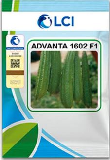 1602 F1
