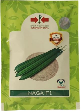 Naga Ridge Gourd Seed