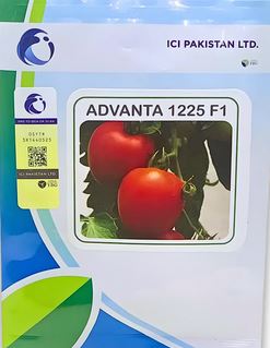 1225 Tomato Seed
