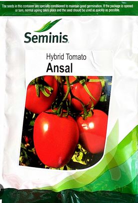 Ansal Tomato Seed