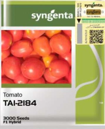 TAI 2184 Tomato Seed