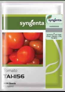 tai1156 Tomato Seed