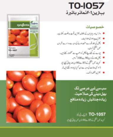 to-1057 Tomato Seed
