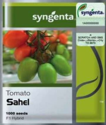 Toco Sahil Tomato Seed