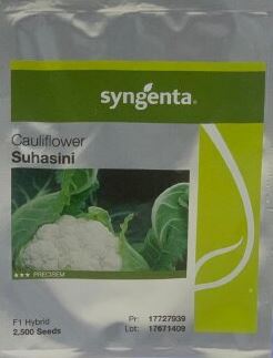 Suhasini Cauliflower Seed