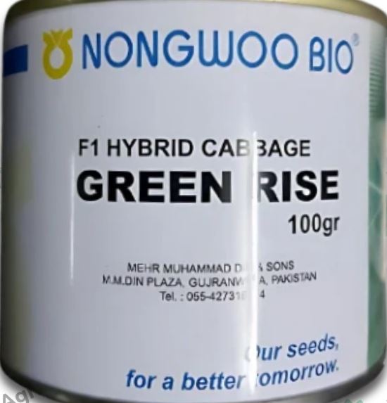 Green Rise Cabbage Seed