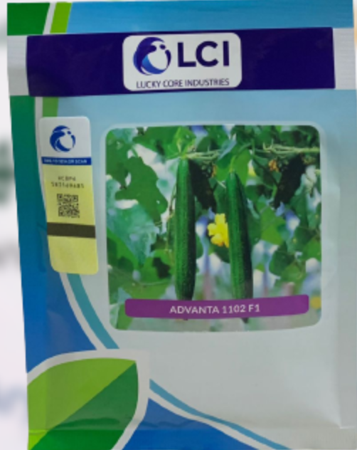 1102 Sponge Gourd Seed
