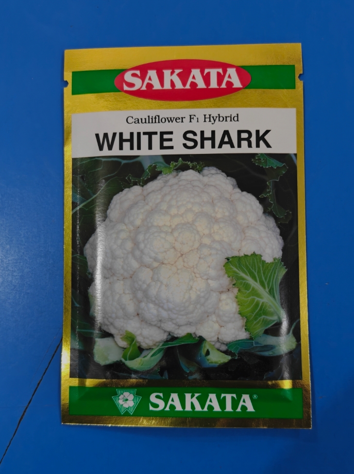 White Shark Cauliflower Seed