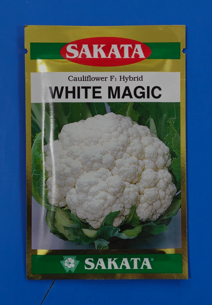 White Magic Cauliflower Seed