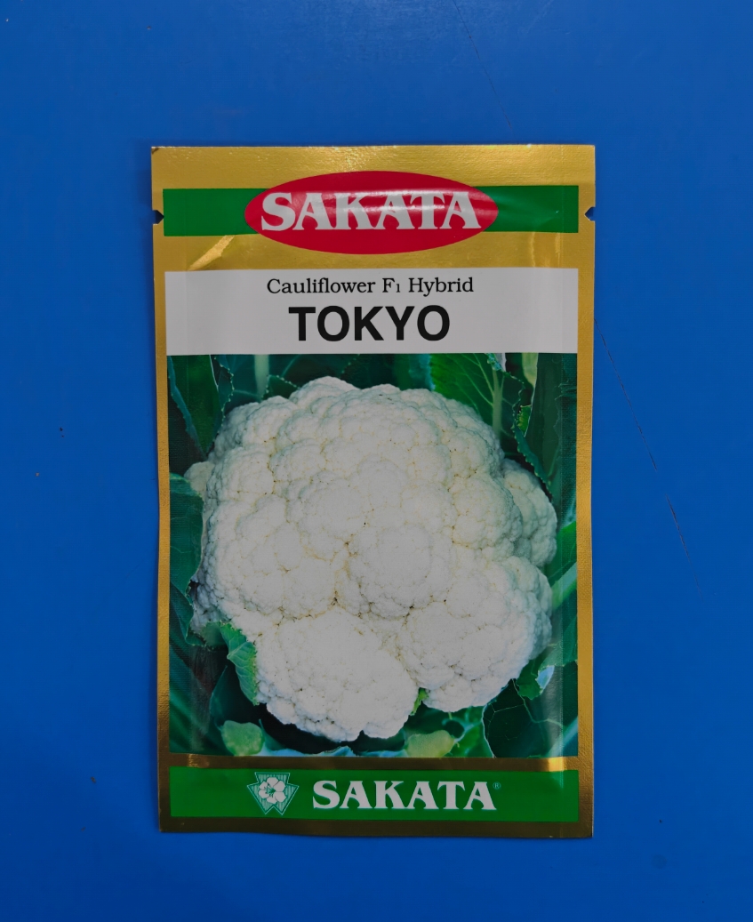 Tokyo Cauliflower Seed