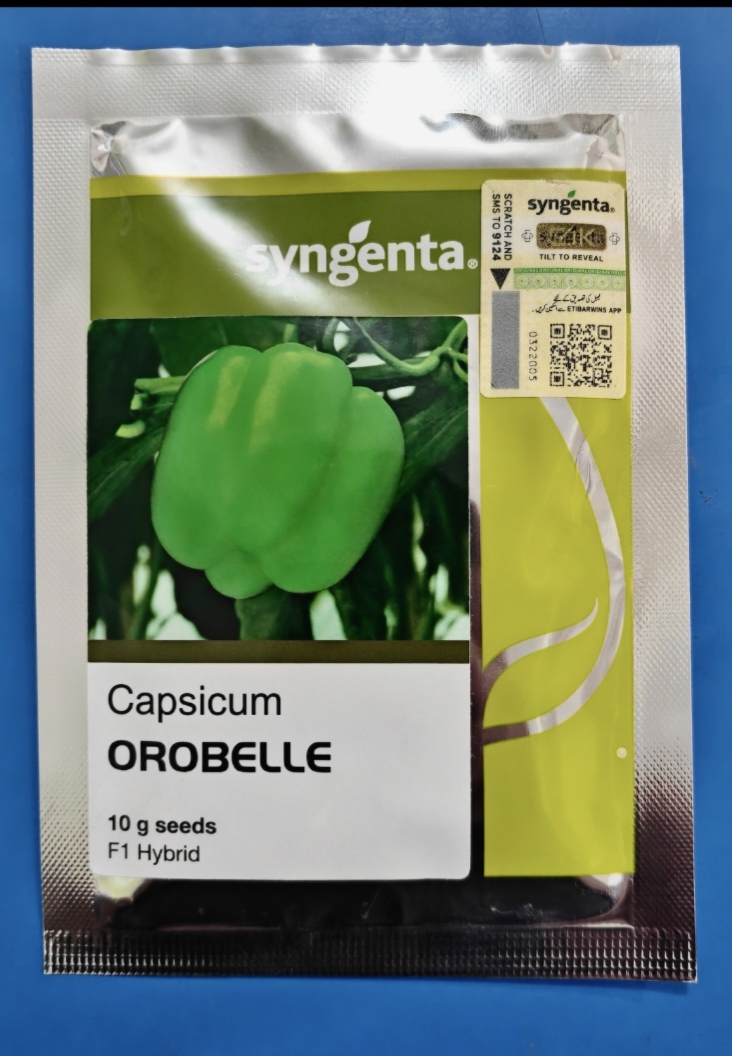 Orobella Sweet Pepper Seed