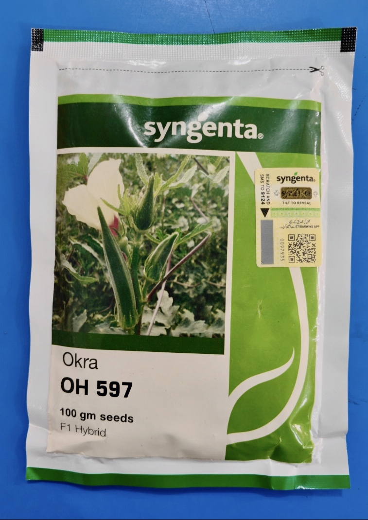 OH 597 Okra Seed