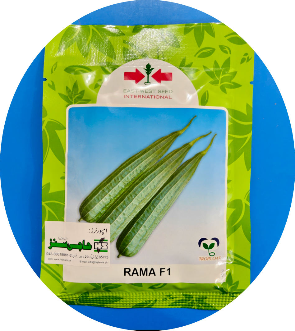 Rama Ridge Gourd Seed