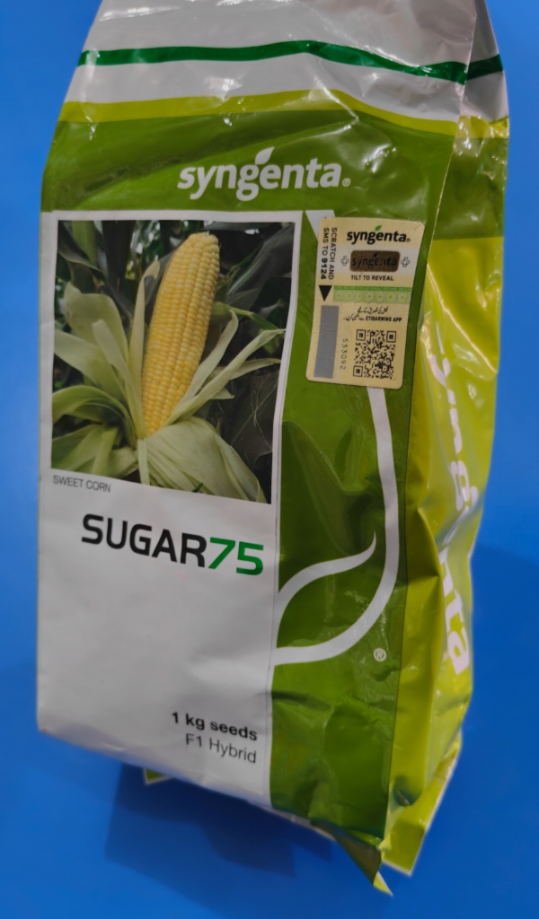 SUGAR 75 Sweet Corn Seed
