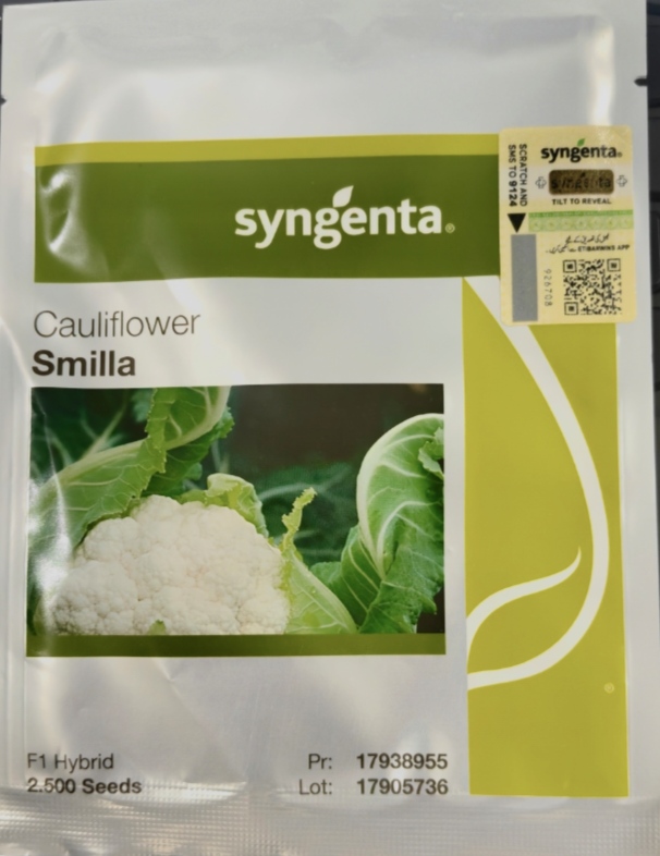 Smilla Cauliflower Seed