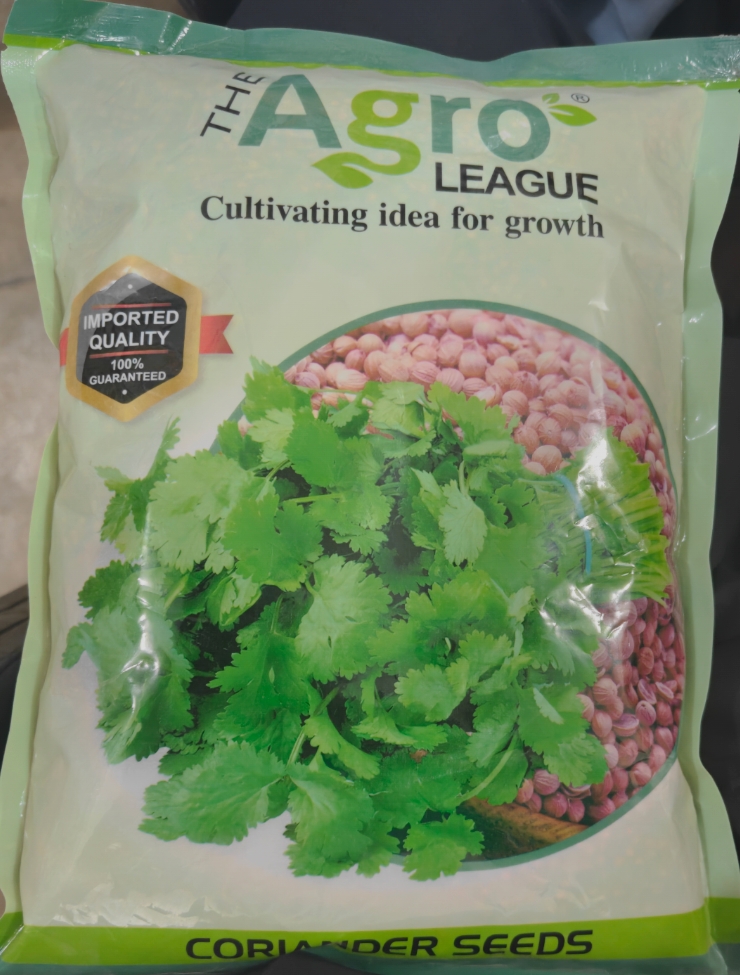 Washington Green Coriander