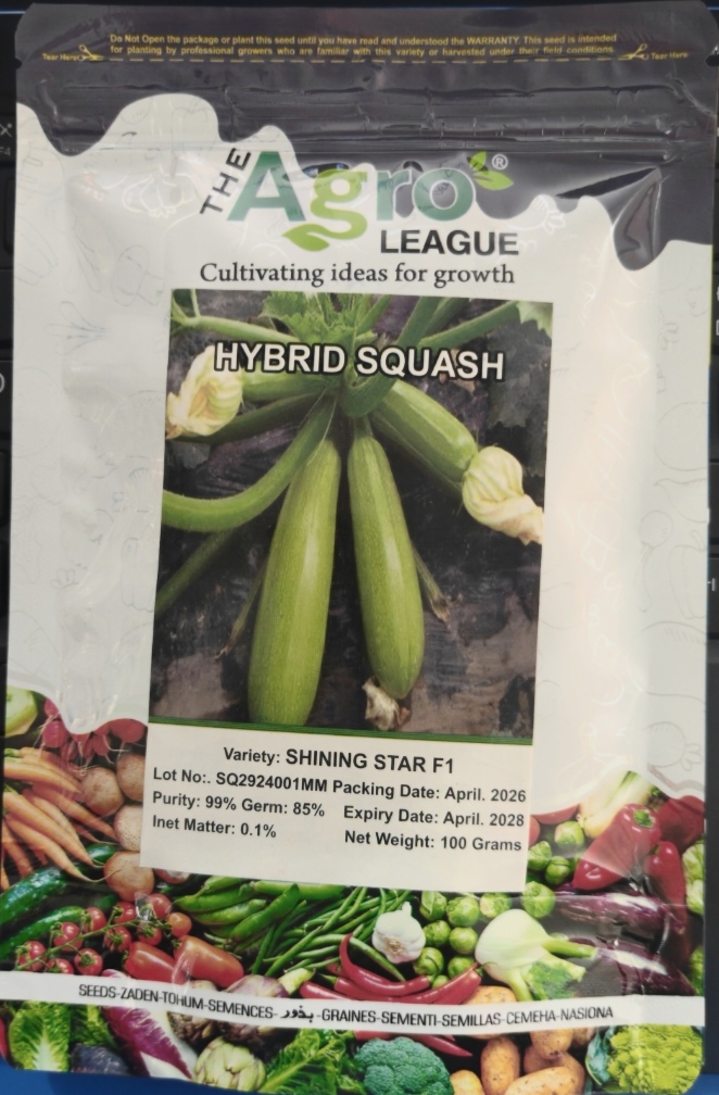 Shining Star F1 Squash