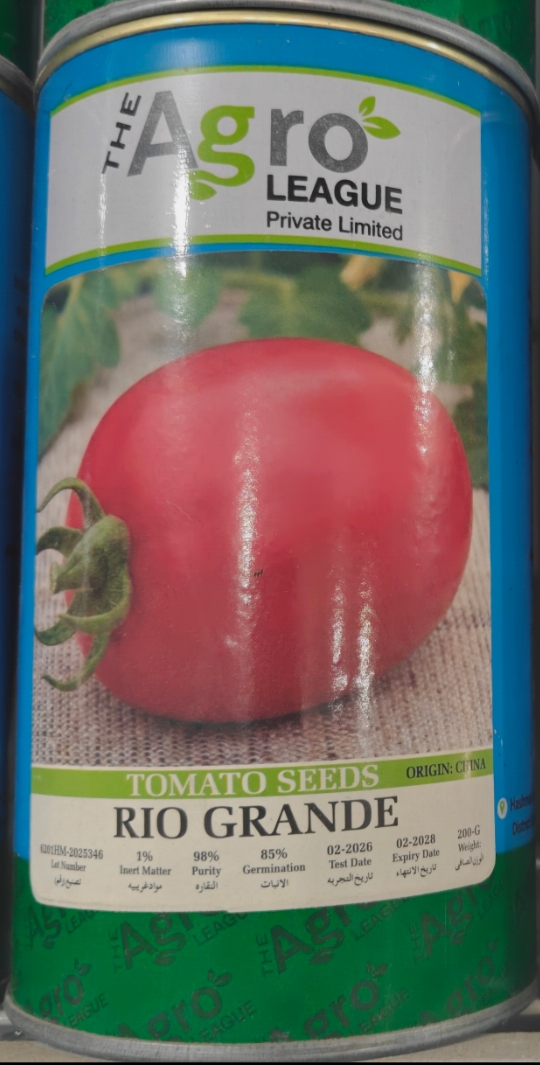 Rio Grande Tomato 