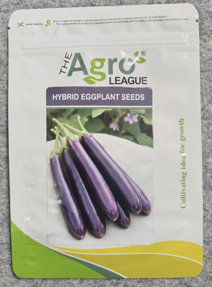 Purple Long egg plant 