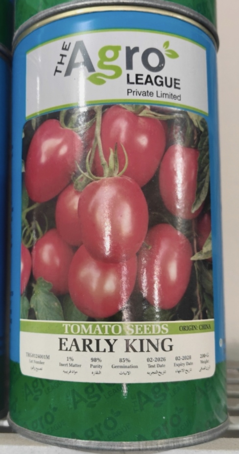 Early King tomato 