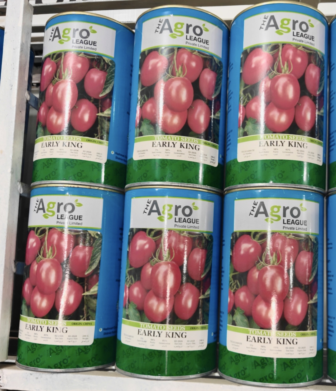 Early King tomato 