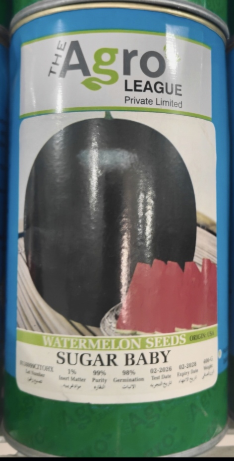 Sugar Baby watermelon 